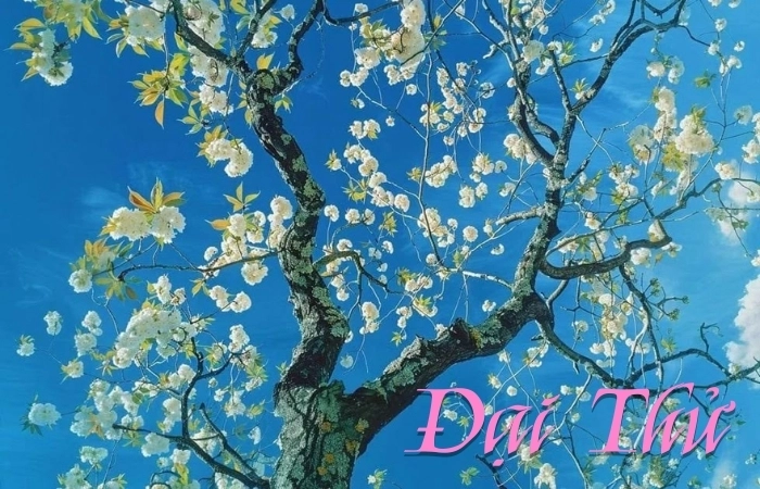 Mùa hè bừng cháy trong bài thơ tiết khí Đại Thử