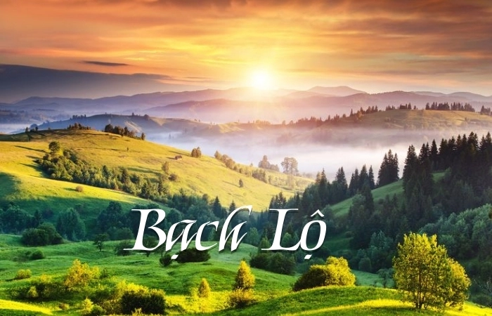 Sương trắng tinh khôi trong bài thơ tiết khí Bạch Lộ