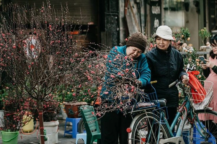 Từng dòng thơ nhẹ Vịnh cánh hoa đào