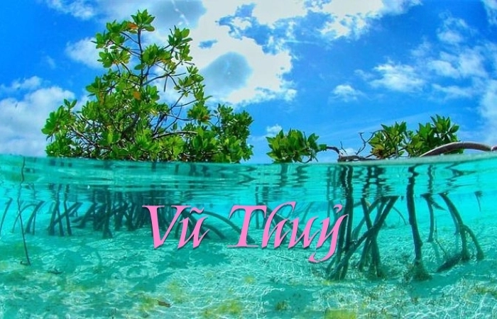 Cảm nhận mùa mưa qua bài thơ tiết khí Vũ Thuỷ
