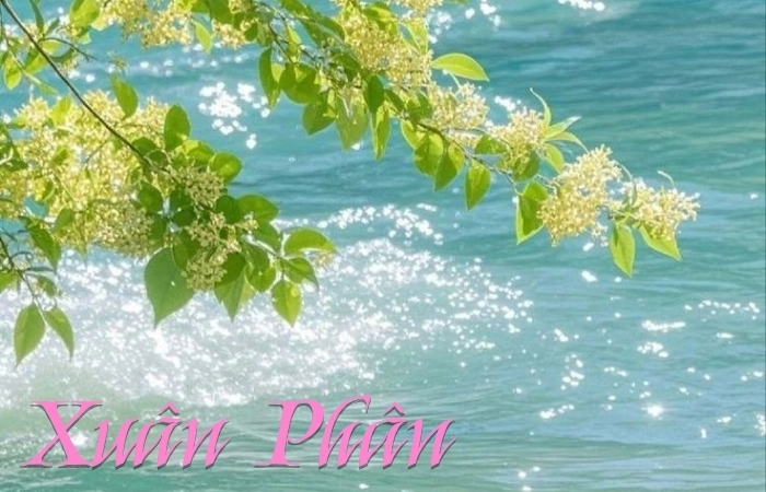 Sắc xuân tươi mới trong bài thơ tiết khí Xuân Phân