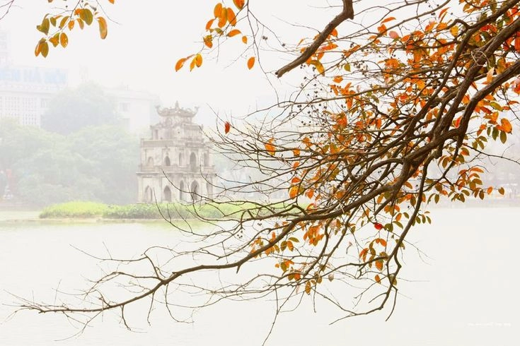 Thảnh thơi giữa đời là Nhàn