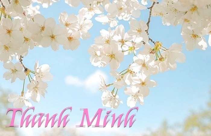 Chìm đắm cùng mùa trong bài thơ tiết khí Thanh Minh