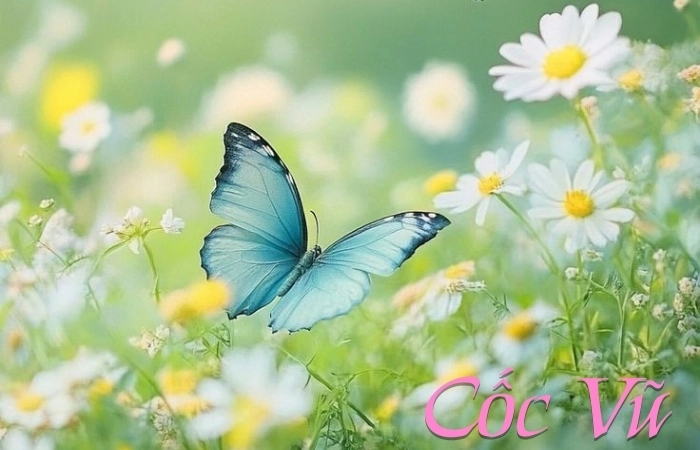 Nhẹ nhàng mưa phùn trong bài thơ tiết khí Cốc Vũ