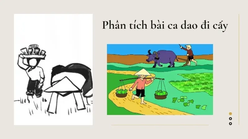 Phân tích bài ca dao đi cấy