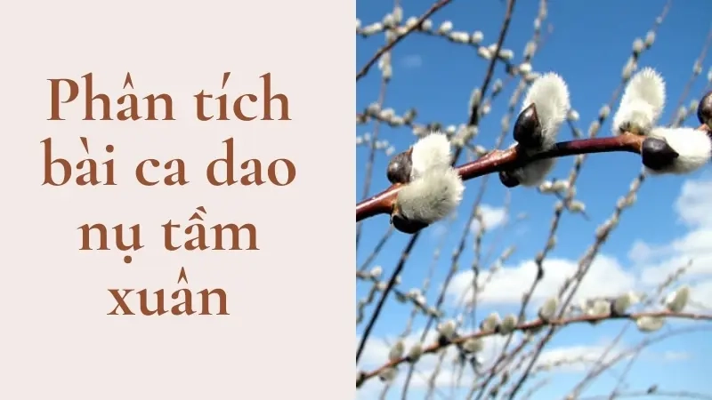 Phân tích bài ca dao nụ tầm xuân