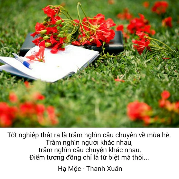 Lời thơ chan chứa Kính gửi tuổi học trò