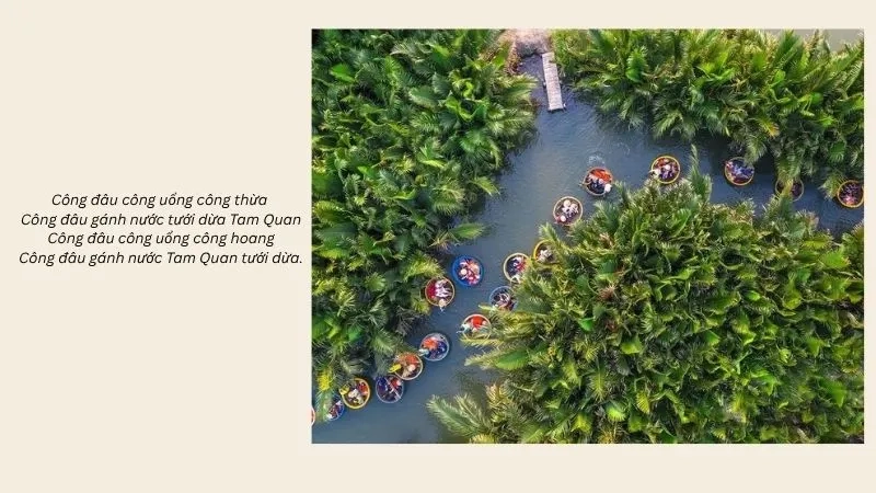 Công đâu công uổng công thừa Công đâu gánh nước tưới dừa Tam Quan