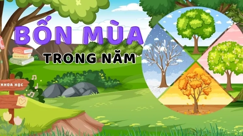 Bốn mùa trong năm
