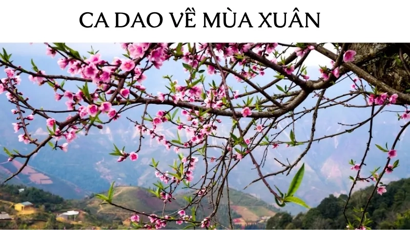 Ca dao về mùa xuân
