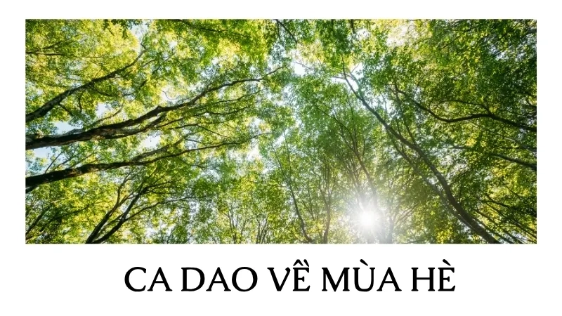 Ca dao về mùa hè