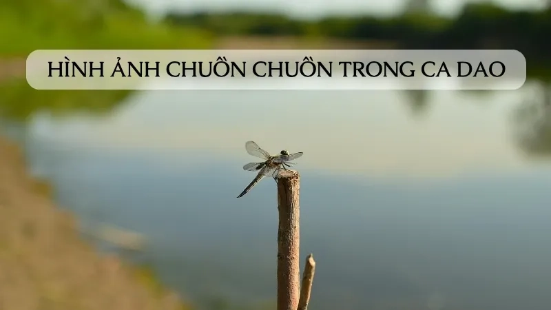Hình ảnh chuồn chuồn trong ca dao