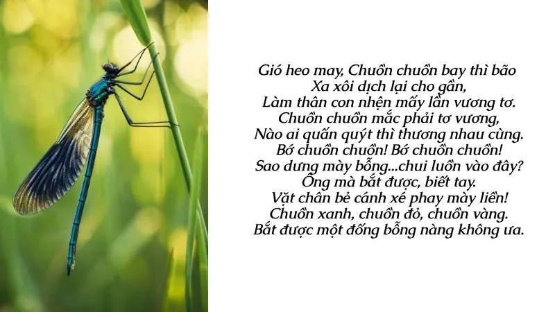 Gió heo may, Chuồn chuồn bay thì bão Xa xôi dịch lại cho gần,