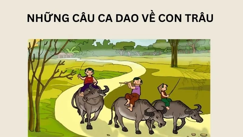Những câu ca dao về con trâu 