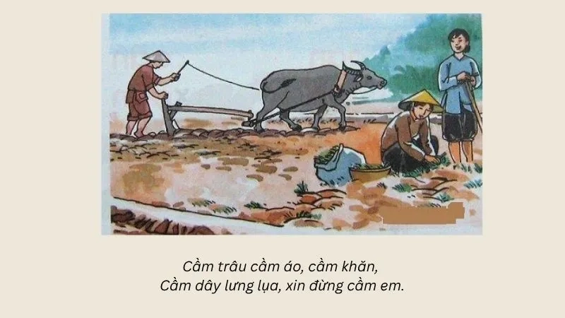 Cầm trâu cầm áo, cầm khăn, Cầm dây lưng lụa, xin đừng cầm em