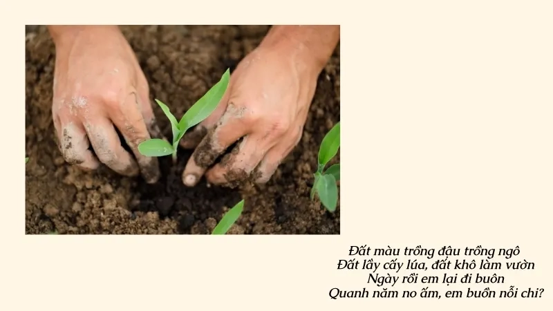 Đất màu trồng đậu trồng ngô Đất lầy cấy lúa, đất khô làm vườn