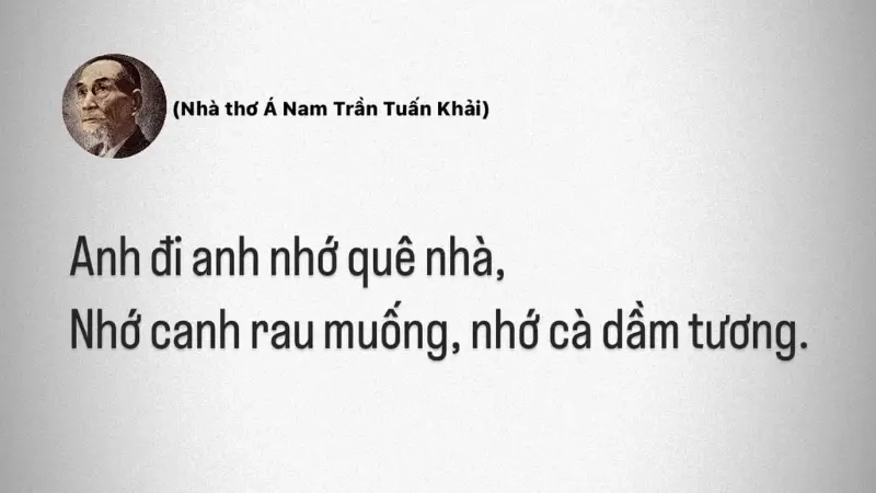 Anh đi anh nhớ quê nhà, Nhớ canh rau muống, nhớ cà dầm tương