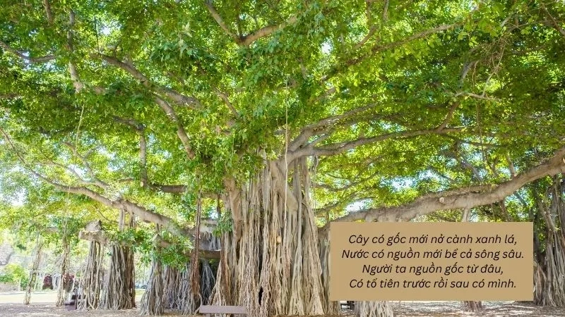 Cây có gốc mới nở cành xanh lá, Nước có nguồn mới bể cả sông sâu