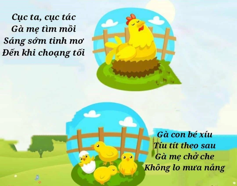 Tình yêu ngọt ngào từ Gà mẹ và gà con