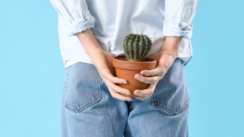 Chữa bệnh trĩ bằng mẹo dân gian tại nhà có thật sự hiệu quả?