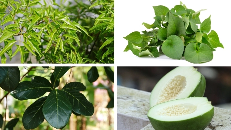 Cách chữa mất sữa cho mẹ bằng phương pháp chườm nóng