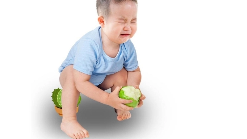 Táo bón là một tình trạng rối loạn tiêu hóa thường gặp