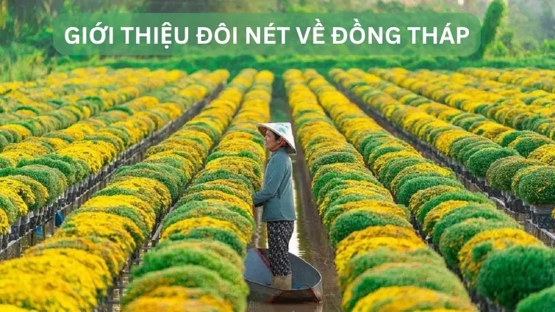 Giới thiệu đôi nét về Đồng Tháp