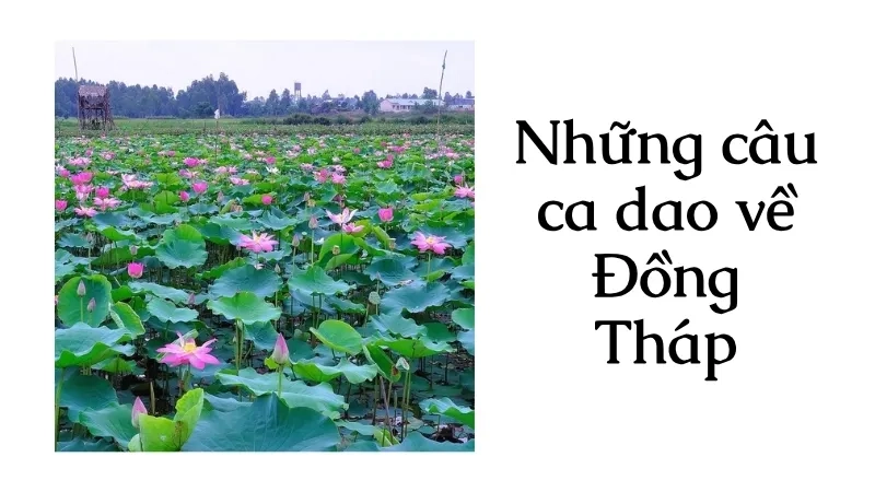 Những câu ca dao về Đồng Tháp