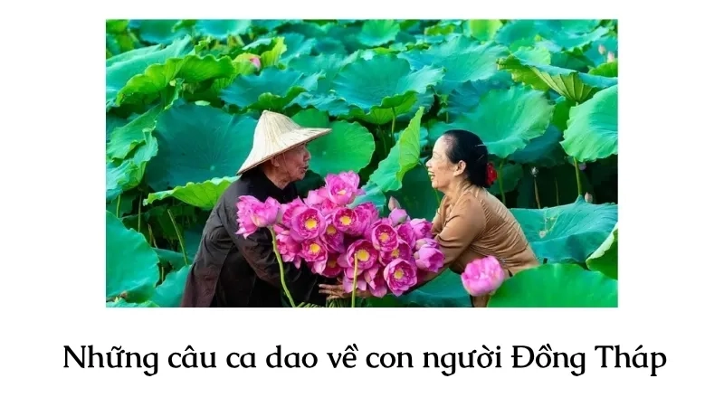 Những câu ca dao về con người Đồng Tháp