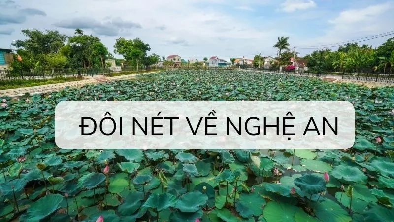 Đôi nét về Nghệ An