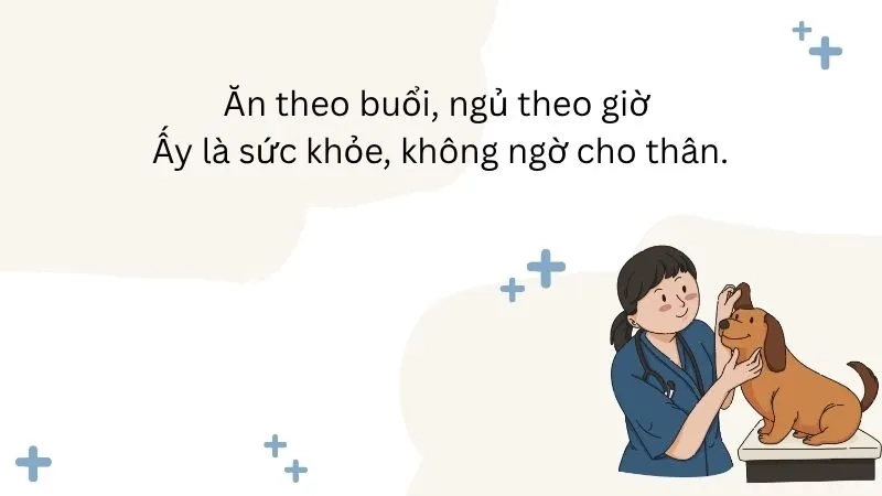 Ăn theo buổi, ngủ theo giờ Ấy là sức khỏe, không ngờ cho thân