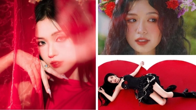 Tiểu sử về Suni Hạ Linh