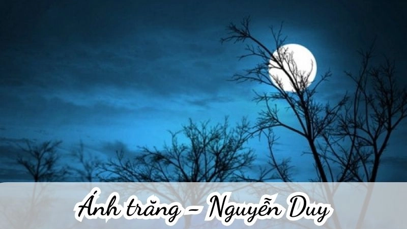 Ánh trăng của Nguyễn Duy nổi bật với lời nhắc nhở nhẹ nhàng mà thấm thía