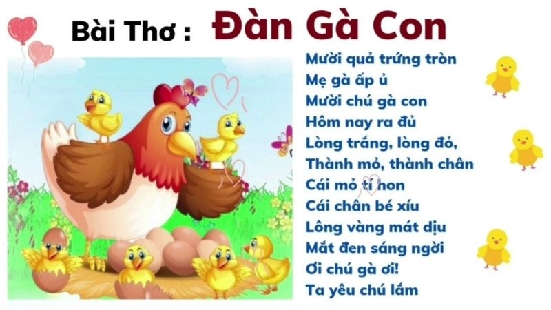 Bài thơ Đàn gà con của tác giả Phạm Hổ không chỉ kể chuyện những chú gà nhỏ mà còn gợi mở tình mẫu tử thiêng liêng
