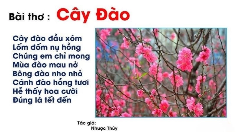 Bài thơ Cây đào khắc họa hình ảnh tươi sáng của mùa xuân với nụ hồng lốm đốm ·àniềm mong chờ Tết niềm mong chờ Tết