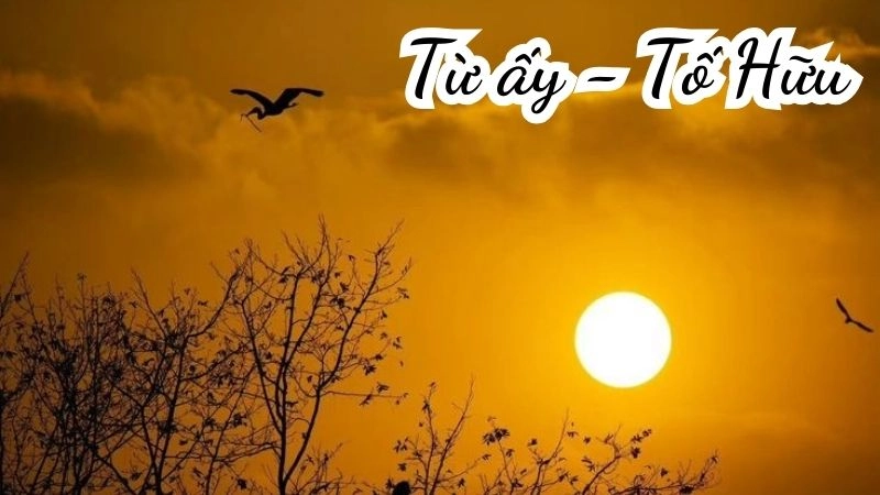 Bài thơ Từ ấy của Tố Hữu là tiếng reo vui của người thanh niên khi tìm thấy ánh sáng cách mạng