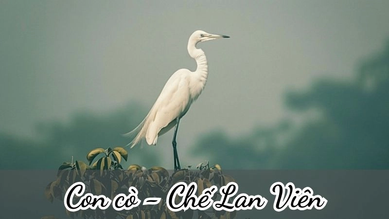 bài thơ Con cò đã đưa ta vào thế giới dịu êm của tình mẫu tử