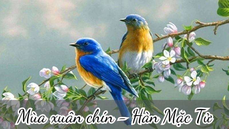 Bài thơ Mùa xuân chín của Hàn Mặc Tử là khúc ca dịu dàng