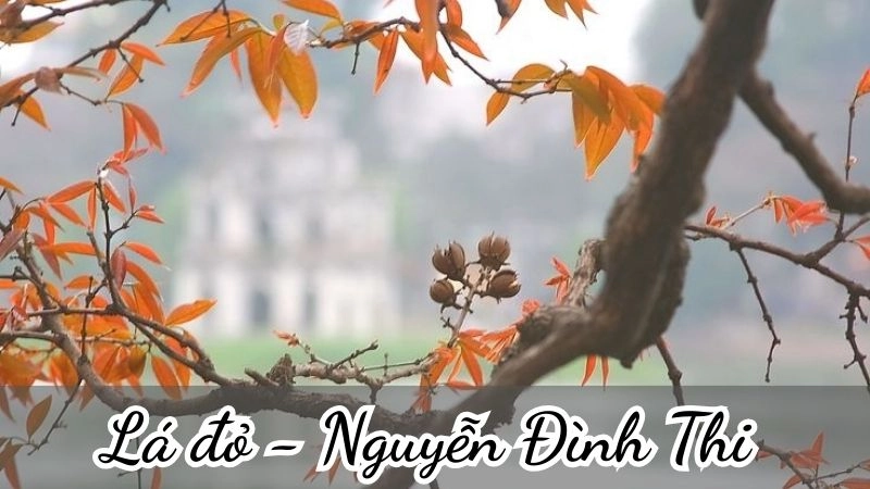 Bài thơ Lá đỏ của Nguyễn Đình Thi kể về hình ảnh người lính trẻ ngã xuống giữa núi rừng