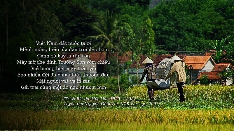 Bài thơ Việt Nam quê hương ta chan chứa tình yêu