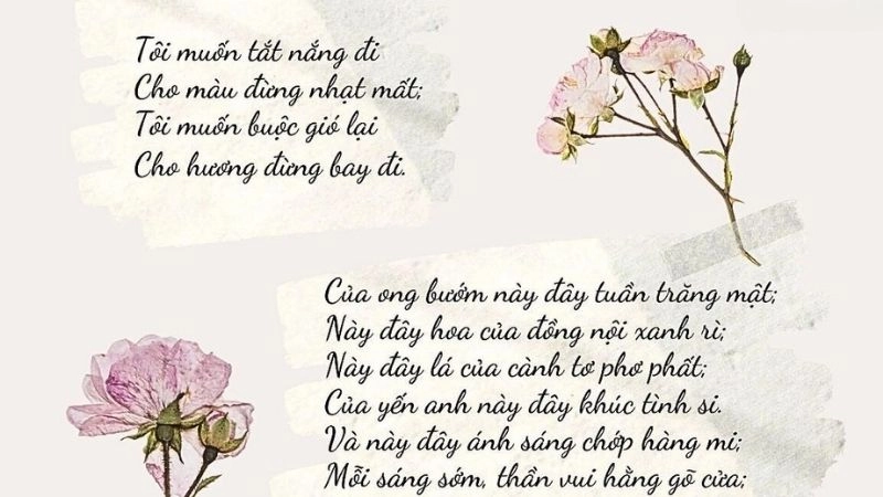 Bài thơ Vội vàng gói trọn vẻ đẹp ngắn ngủi của đời