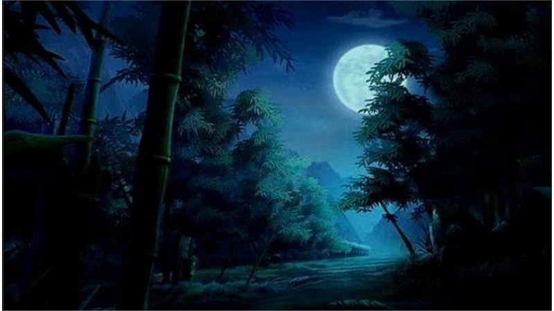 Bài thơ Đêm dài gợi lên nỗi buồn sâu lắng và cô đơn