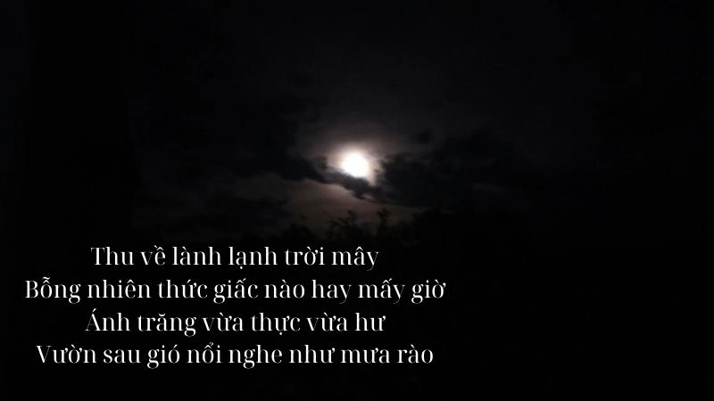 Bài thơ Đêm thu tĩnh lặng chứa đựng nỗi niềm sâu lắng mùa vàng