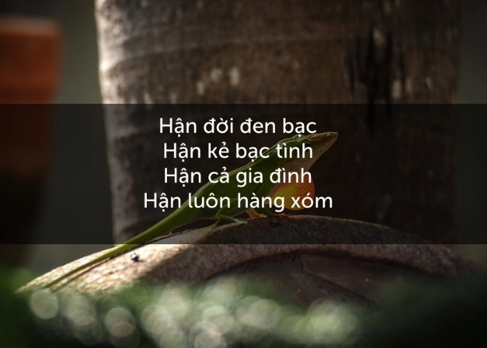 Bài thơ về hận thù viết cho Hận kẻ bạc tình