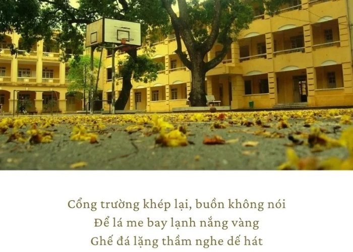 Bài thơ về mái trường xúc động Chia tay lớp 12