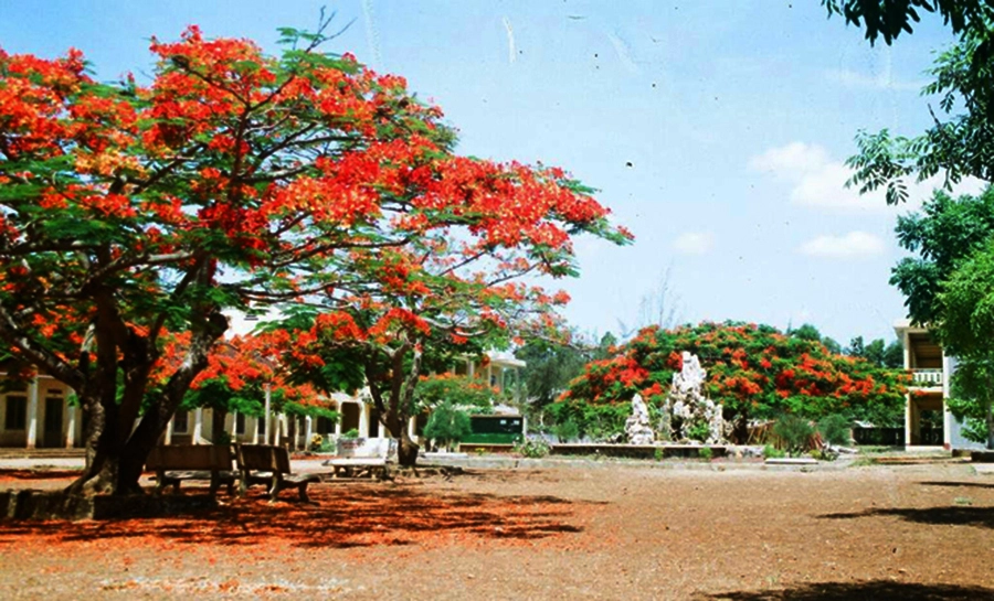 Bài thơ về mái trường đọng lại Hồi ức trong tim