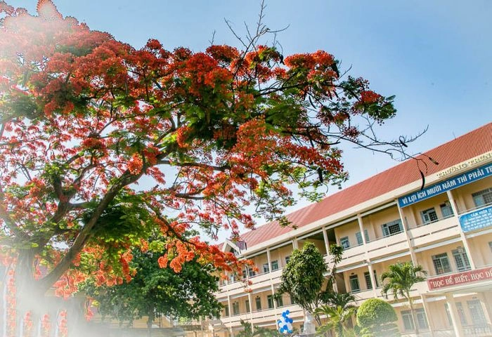 Bài thơ về mái trường da diết Mùa chia tay