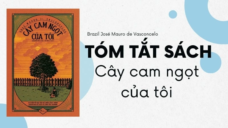 Cây Cam Ngọt Của Tôi – tiểu thuyết Brazil lay động trái tim