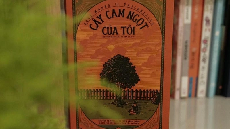 Cây Cam Ngọt Của Tôi – nơi Zezé tìm thấy tình yêu giữa lằn ranh nghèo khó