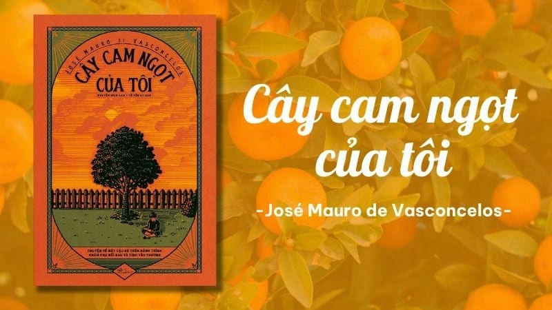 Khám phá Cây Cam Ngọt Của Tôi, tiểu thuyết Brazil nổi tiếng của José Mauro de Vasconcelos